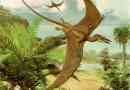 Pterodactyl - repülő dinoszaurusz
